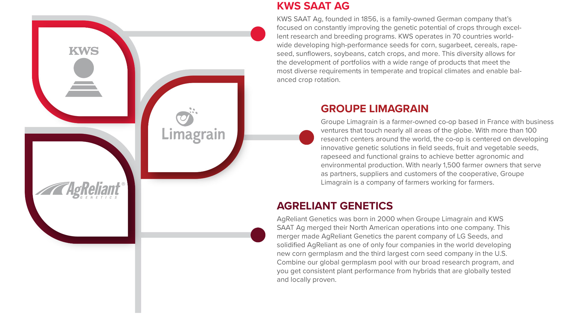 Heritage Infographic Heritage Infographic