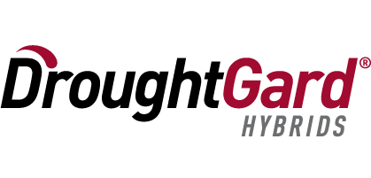 DG