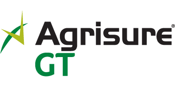 GT