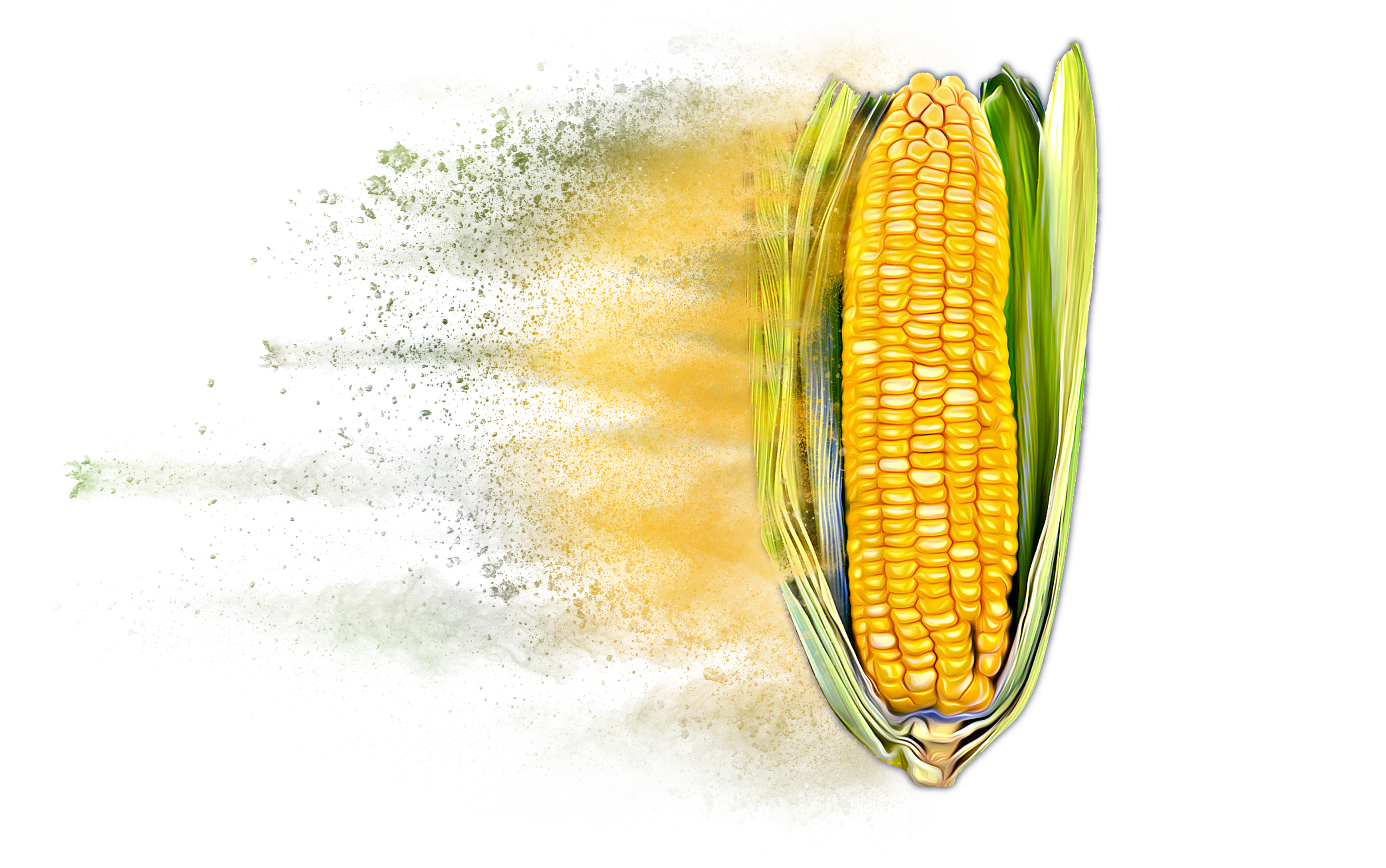 Distressed Corn Hybrid Graphic