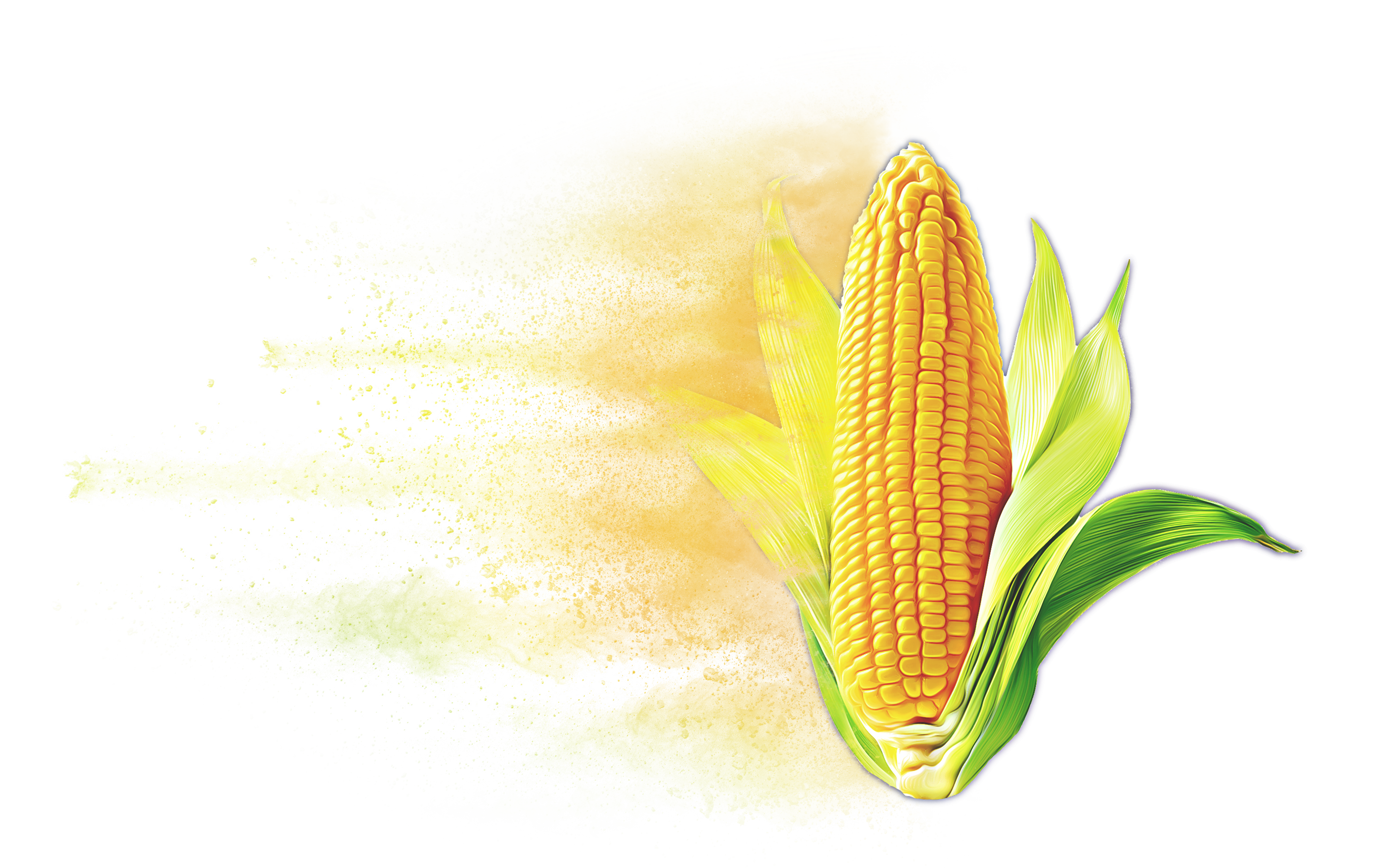 Distressed Corn Hybrid Graphic