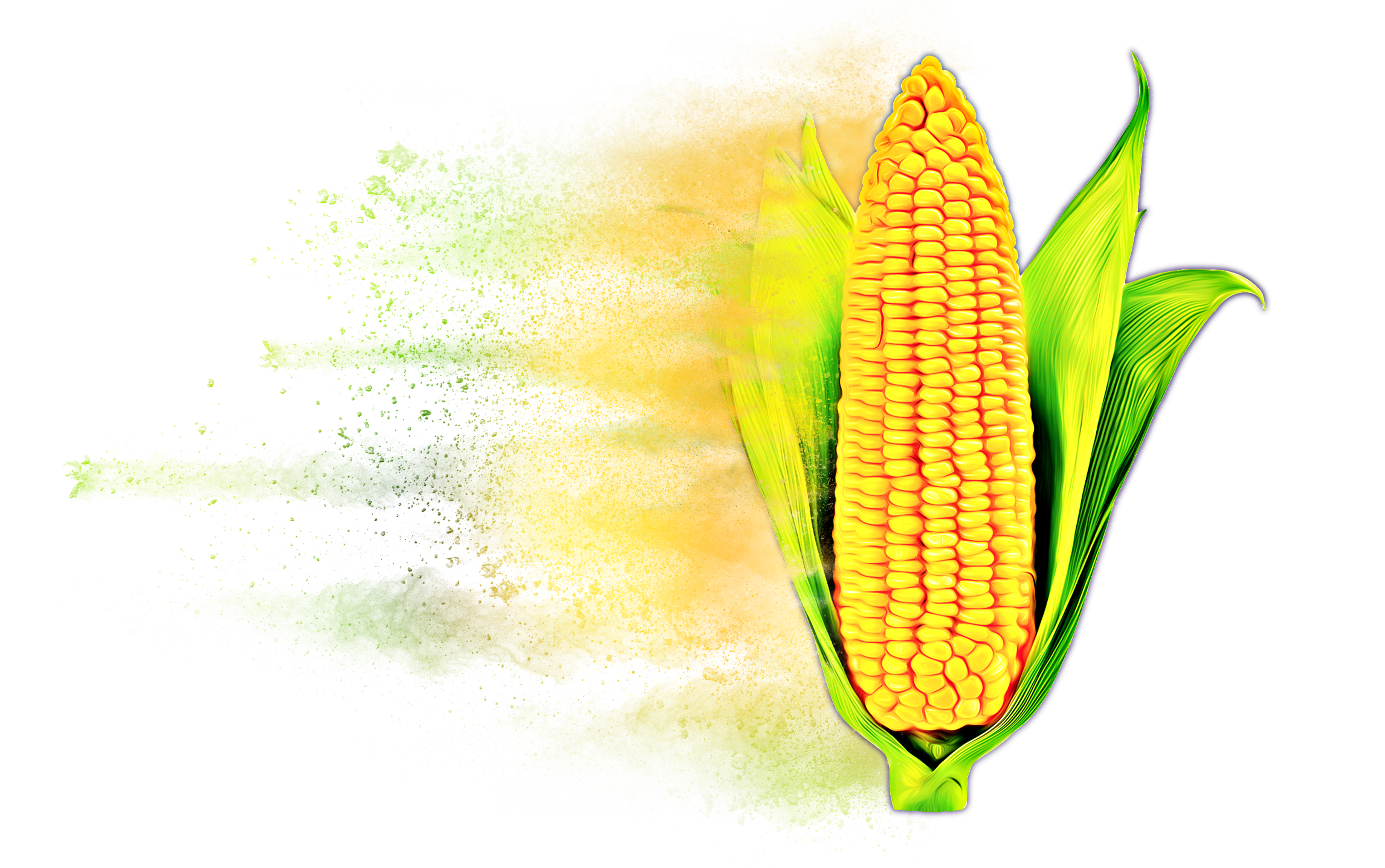 Distressed Corn Hybrid Graphic