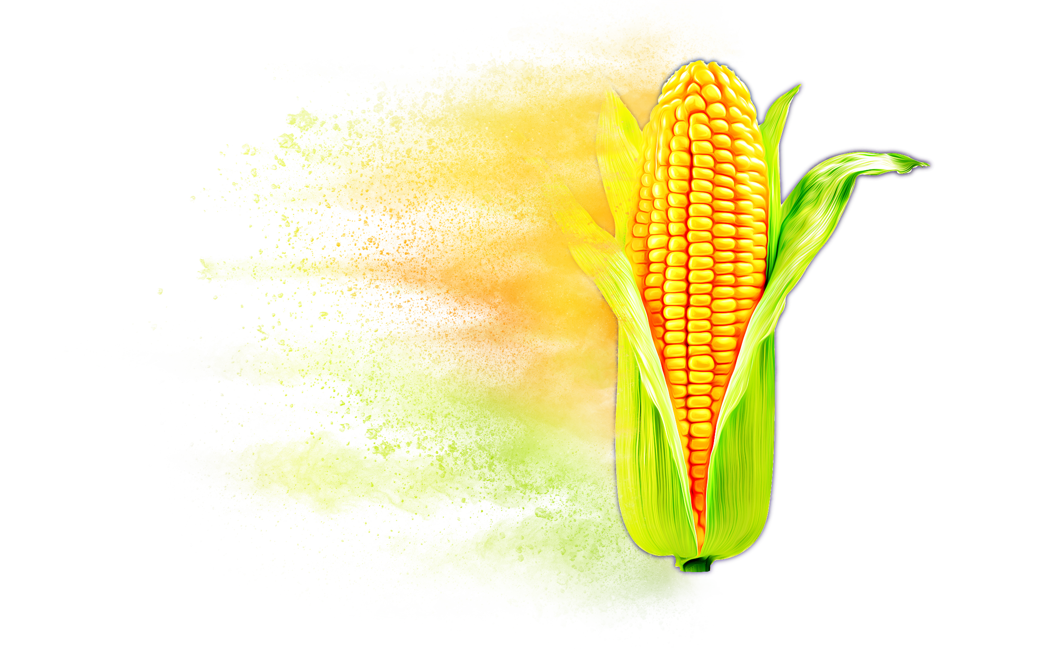 Distressed Corn Hybrid Graphic