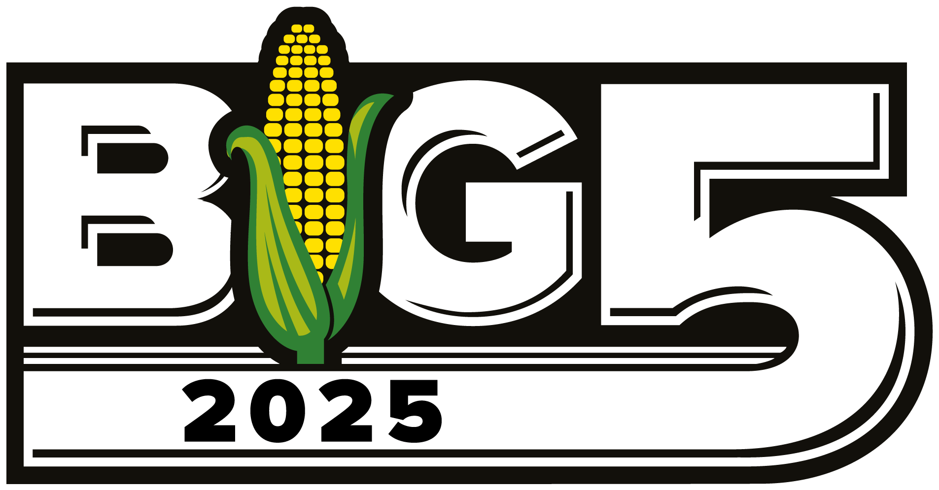 Big 5 2025 Logo