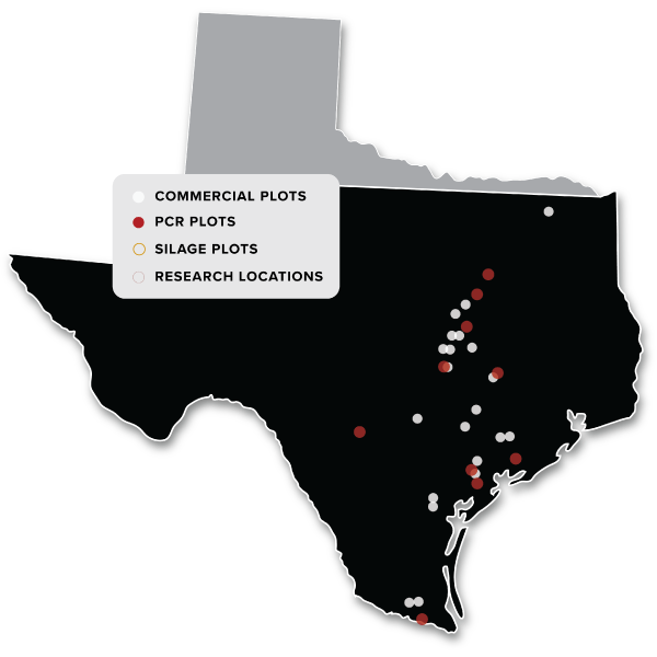 Central & Southern Texas map