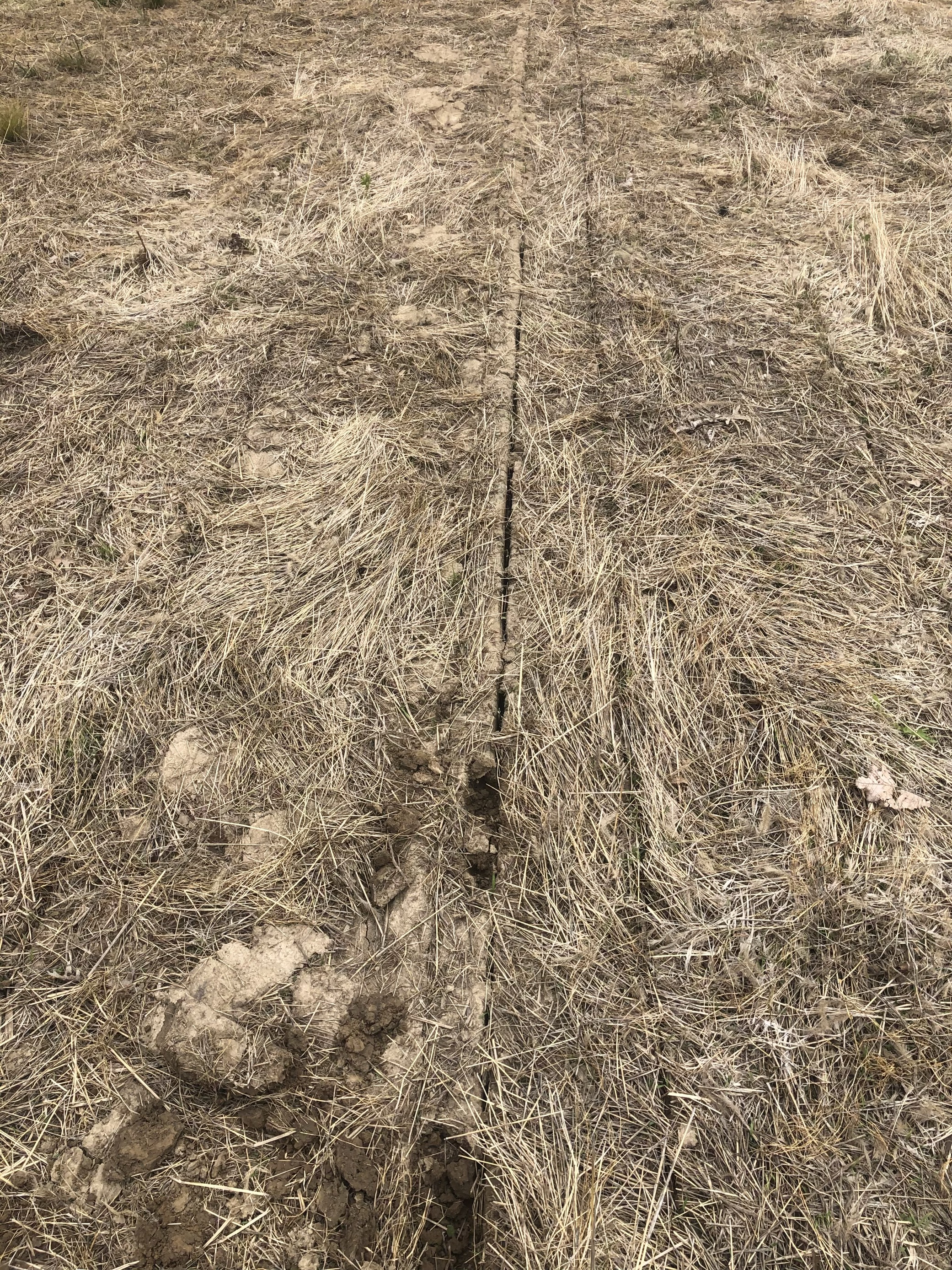 Sidewall compaction in a field