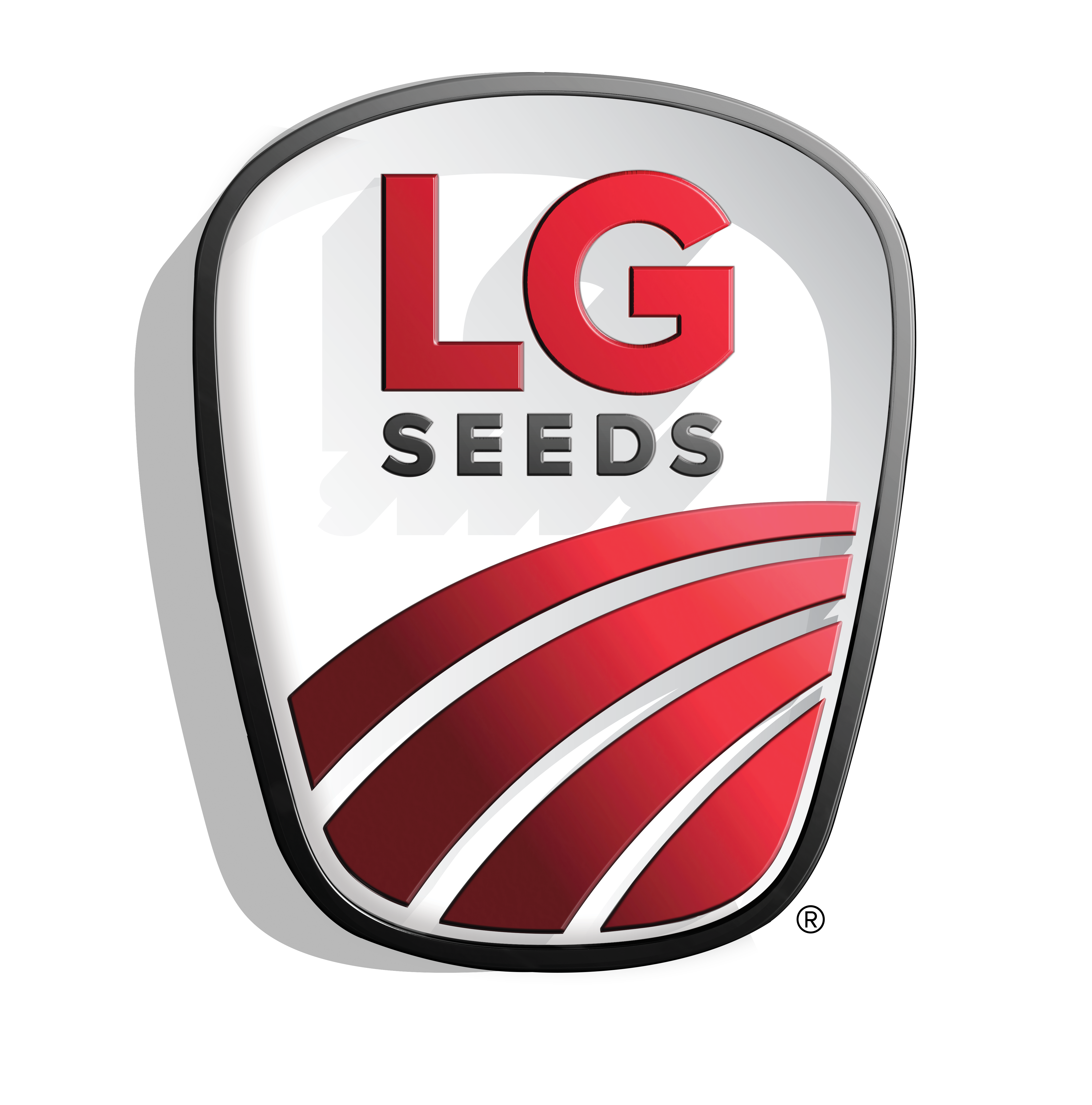 LG Seeds